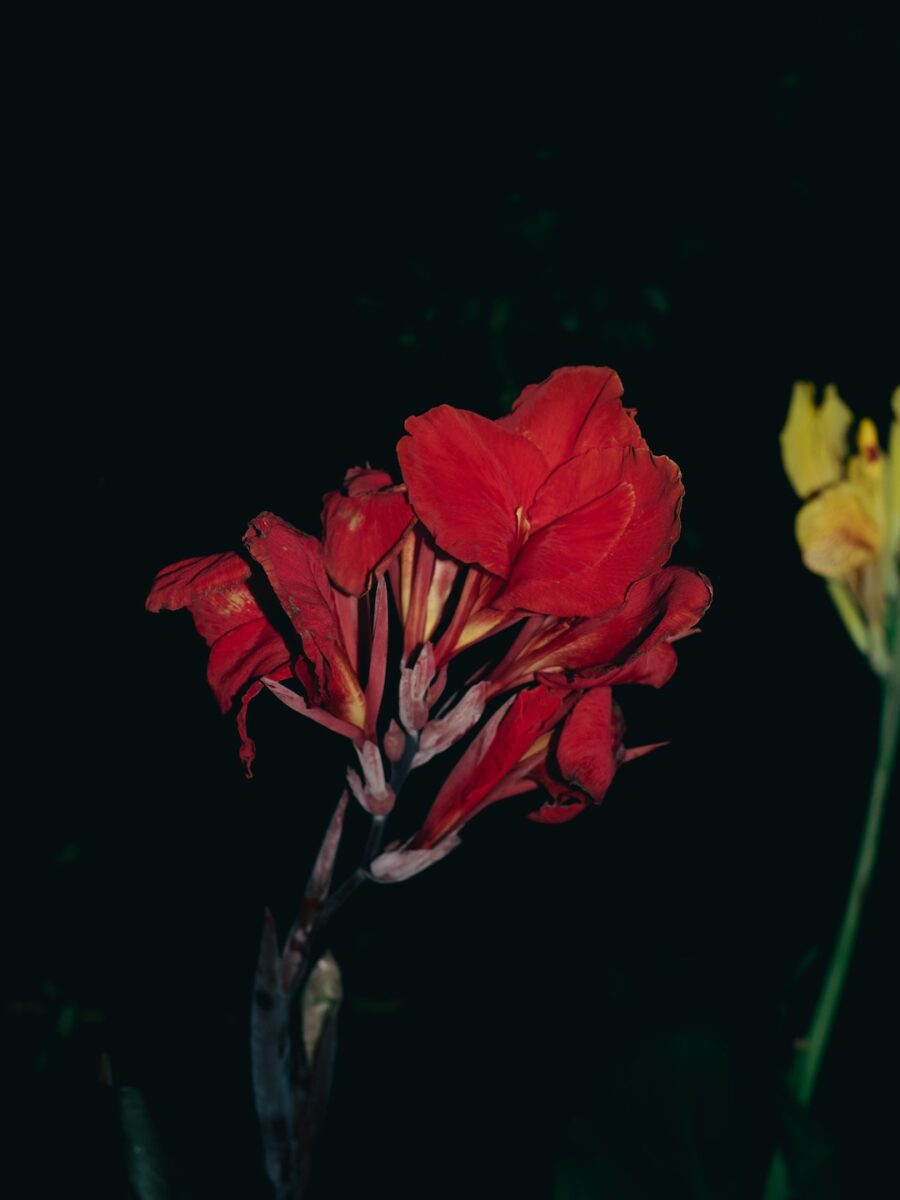 Spotlighting the Next Generation