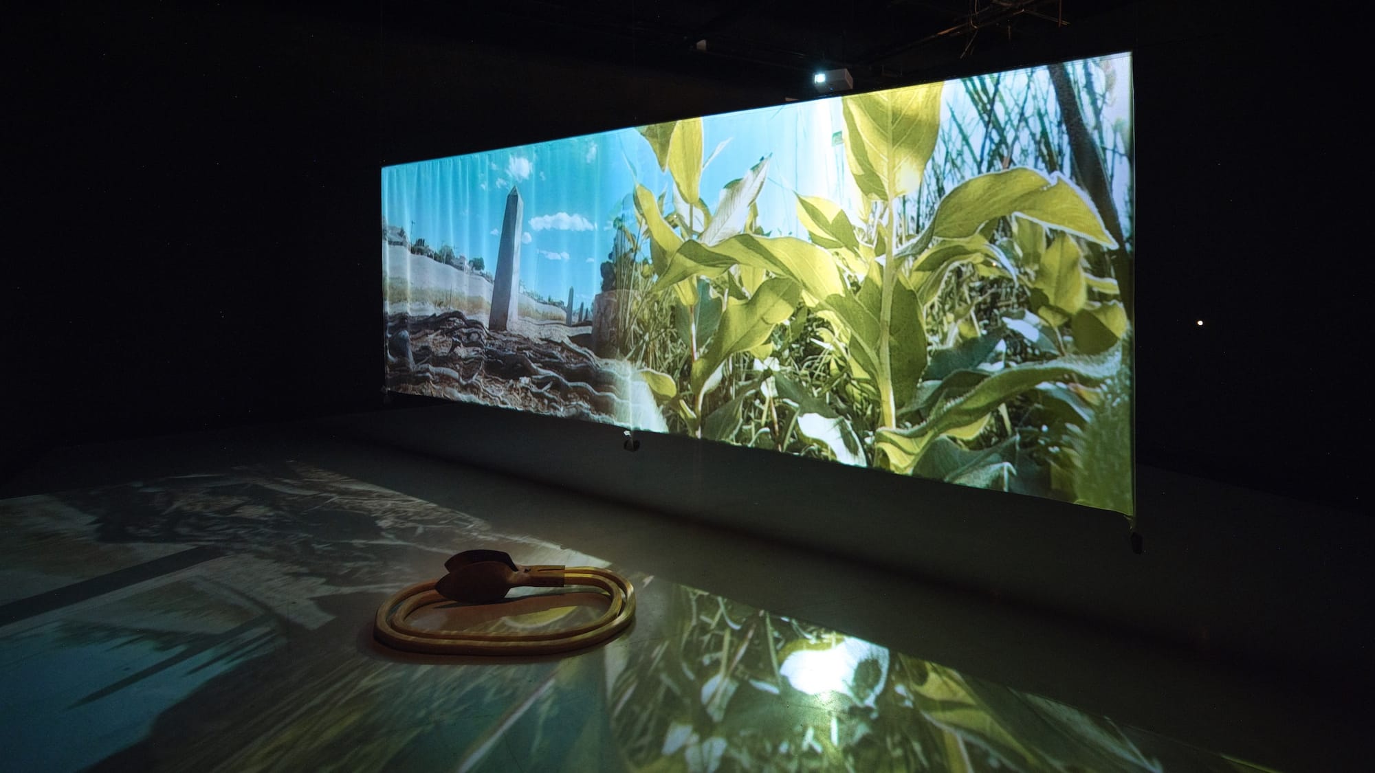 University of Michigan’s Fully Funded MFA Program Combines Studio Art and Research