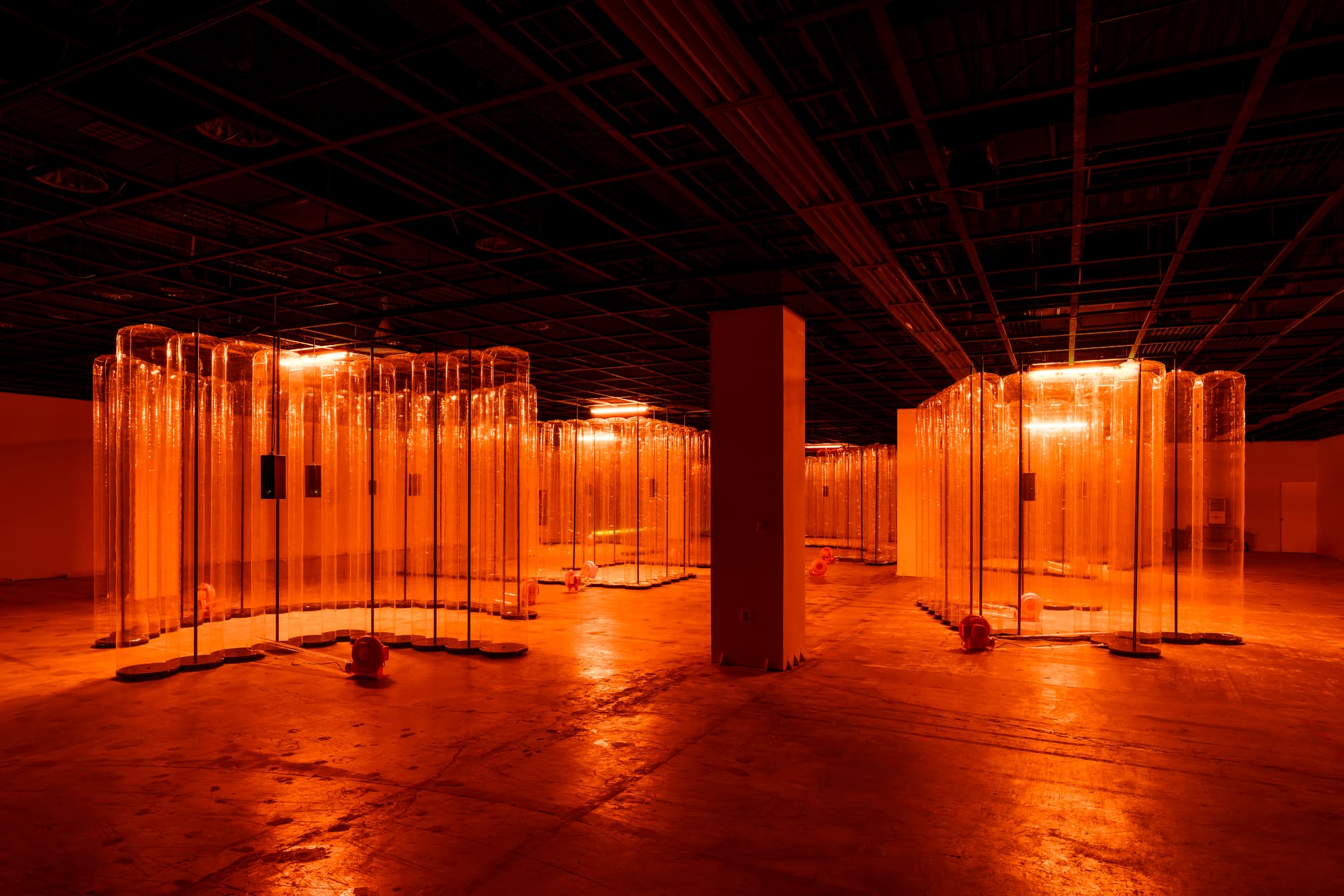 A Low Hum: The 16th Gwangju Biennale